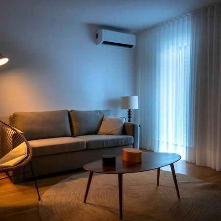 Luxury Apartment